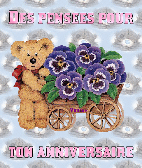 vannes rencontres net